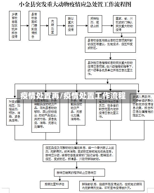 疫情处置再/疫情处置工作流程-第2张图片