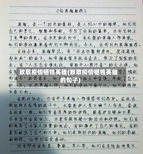 致敬疫情牺牲英雄(致敬疫情牺牲英雄的句子)-第3张图片