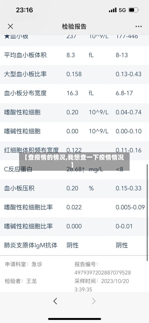 【查疫情的情况,我想查一下疫情情况】-第2张图片