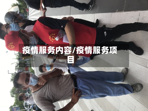 疫情服务内容/疫情服务项目-第3张图片