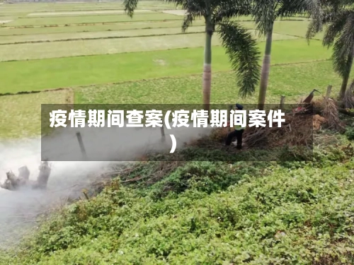 疫情期间查案(疫情期间案件)-第1张图片